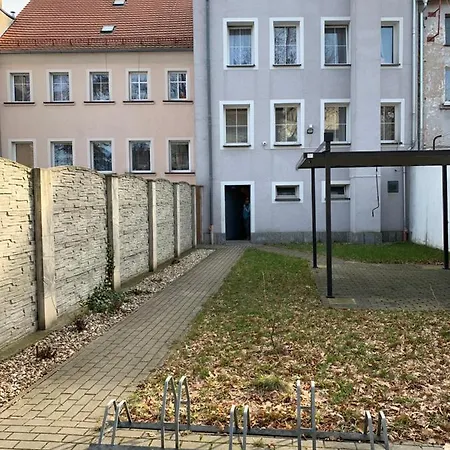 Gold Злоторыя